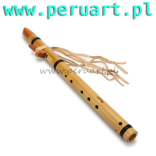 native american style flute 