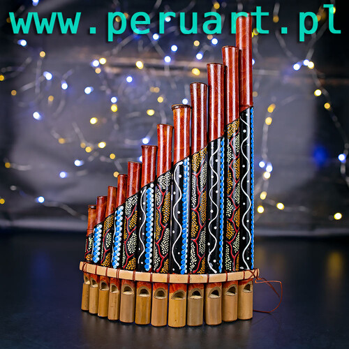 FLETNIA PANA INSTRUMENT DĘTY